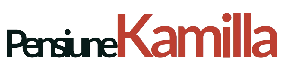 Pensiunea Kamilla Logo